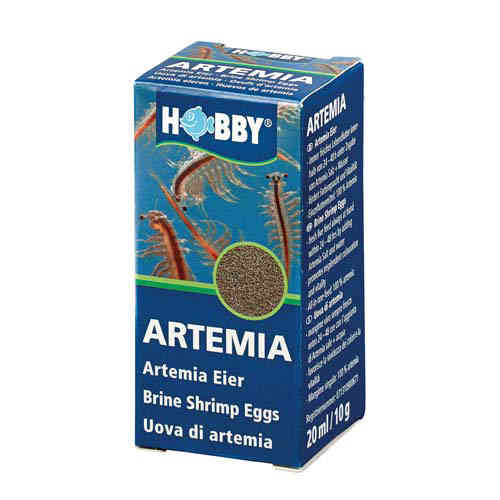 Hobby Artemia 20ml