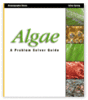 Algae - A Problem Solver Guide