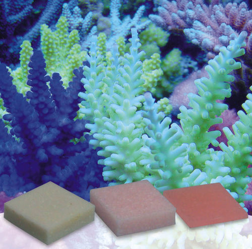 Korallen-zucht Automatic Elements B-Balance Concentrate 5 kpl