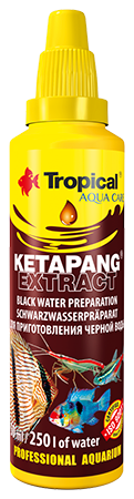 Tropical Ketapang Extract 50 ml