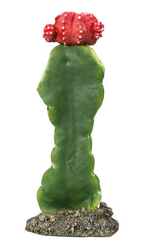 Hobby Cactus Gibson 17 cm