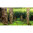 Taustakuva "Scaper's hill/Scaper's forest" 60x30 cm