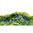Taustakuva "Scaper's hill/Scaper's forest" 120x50 cm