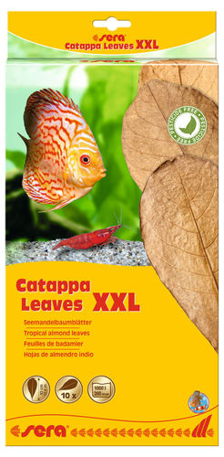 Sera Catappa Leaves XXL 10 kpl